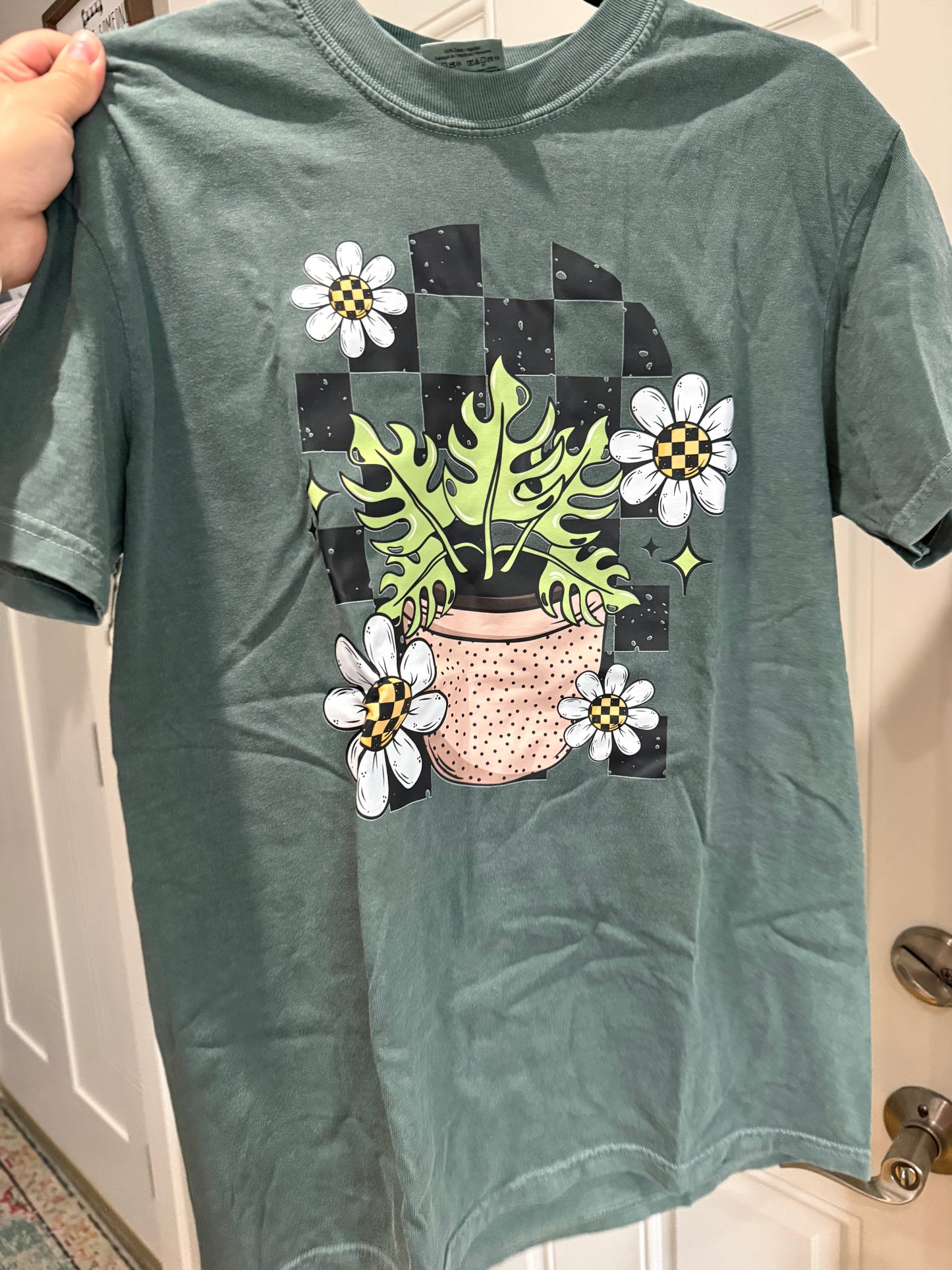 Plant checks green