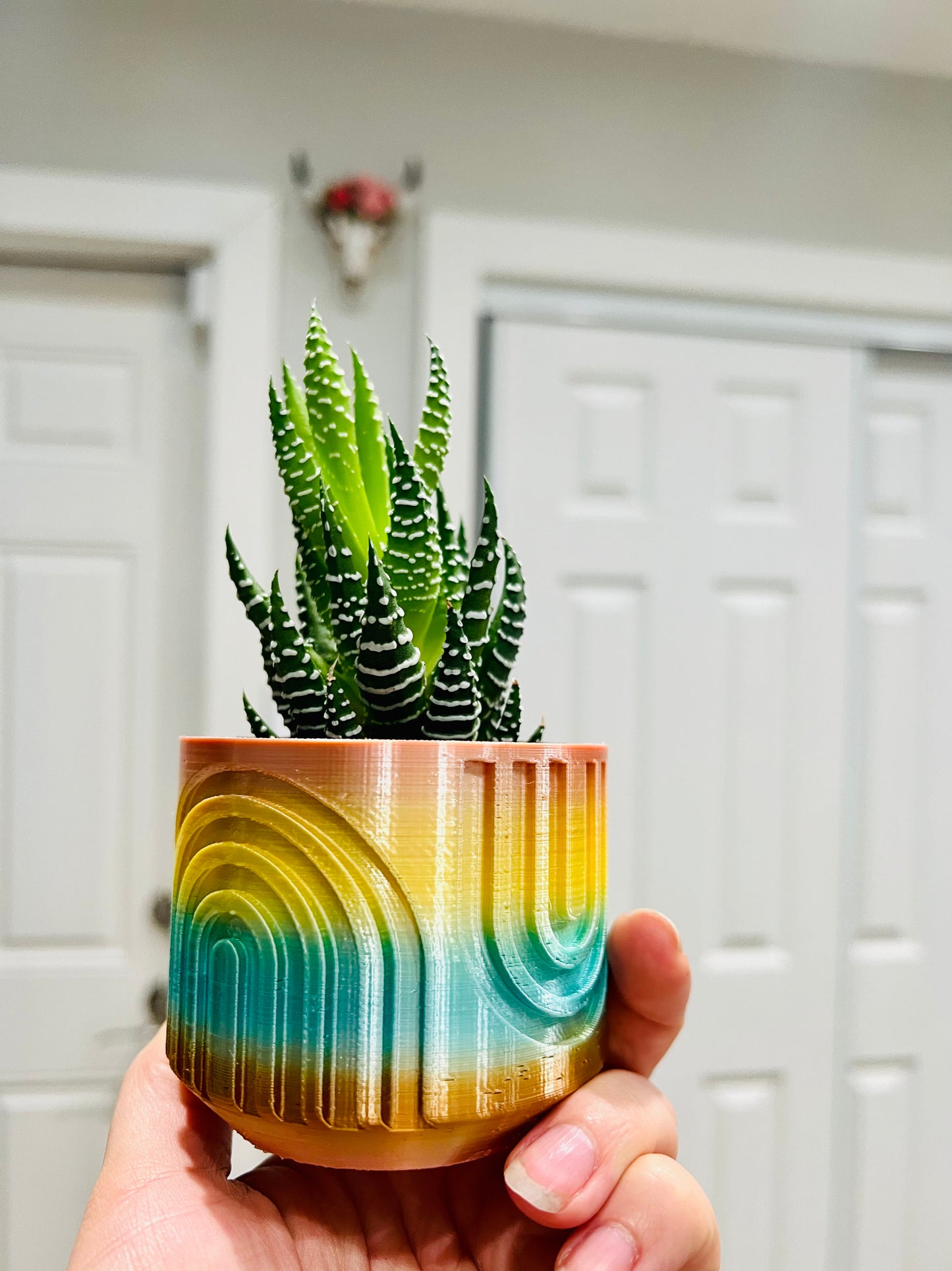 Rainbow planter