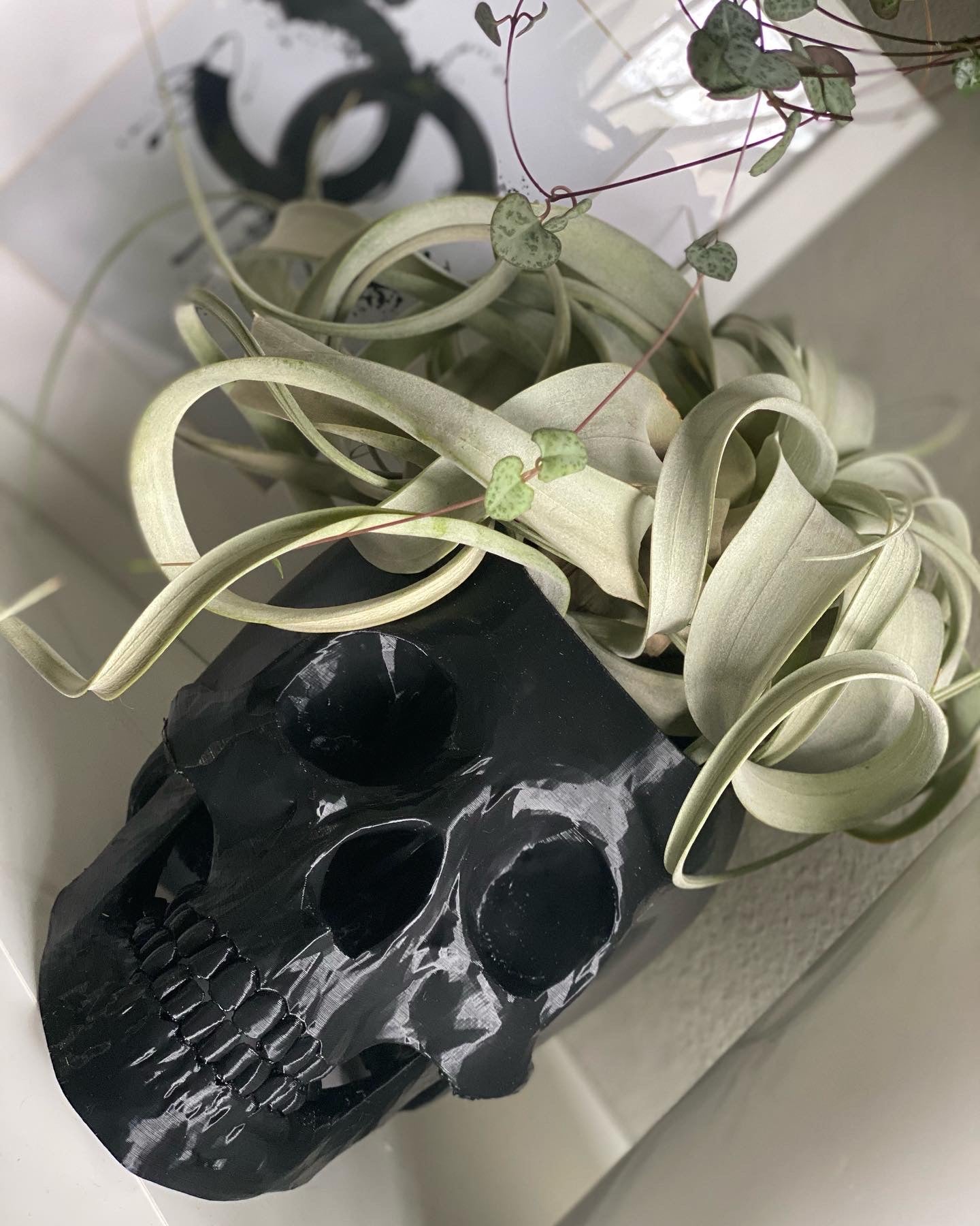 Skull planter