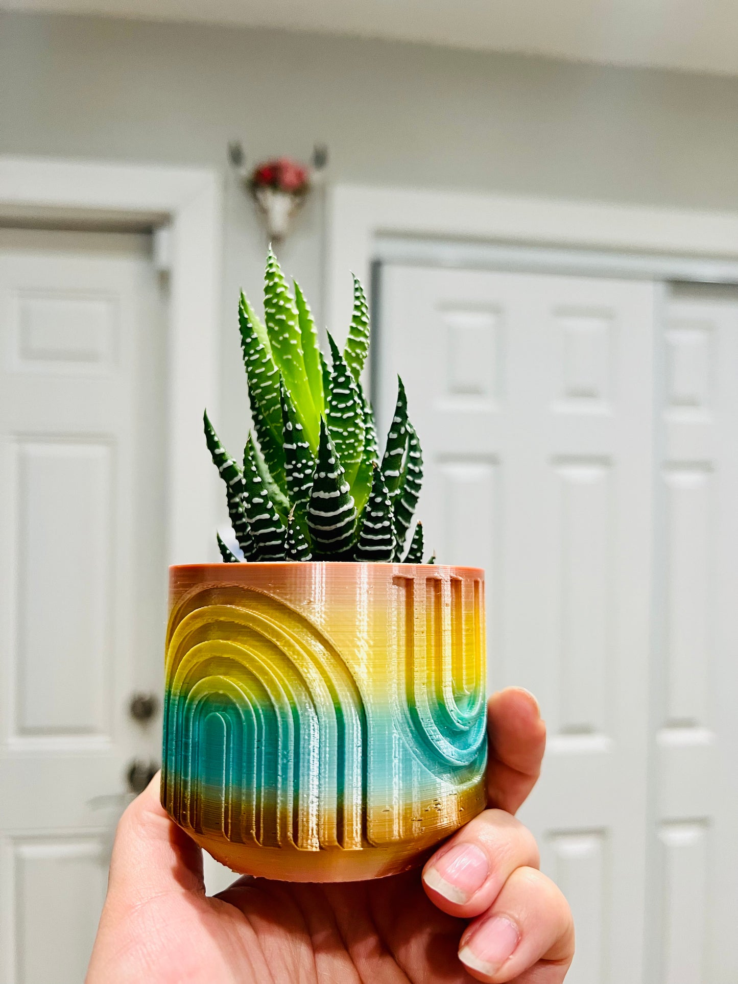 Rainbow planter