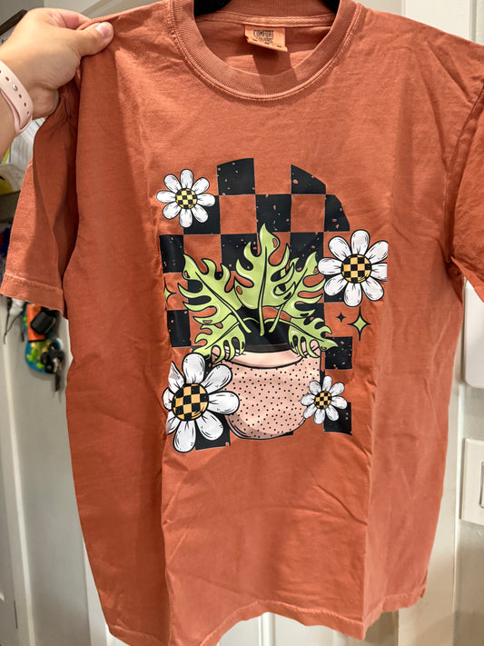 Plant checks