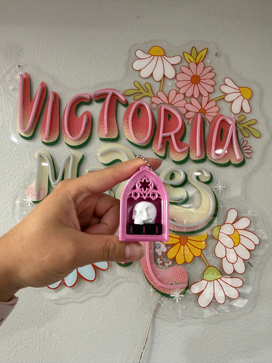 Pink gothic frame book and skull