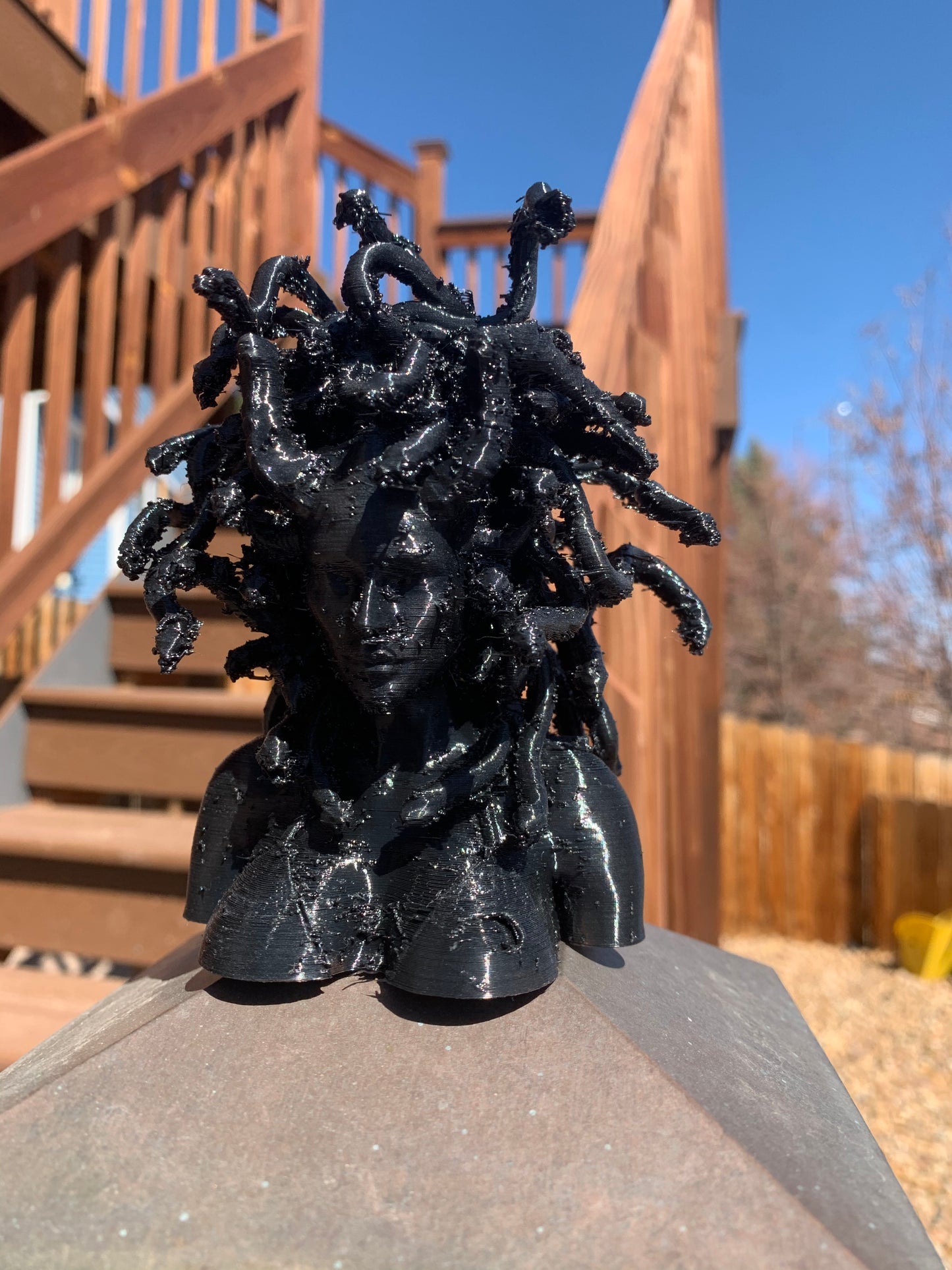 Medusa bust