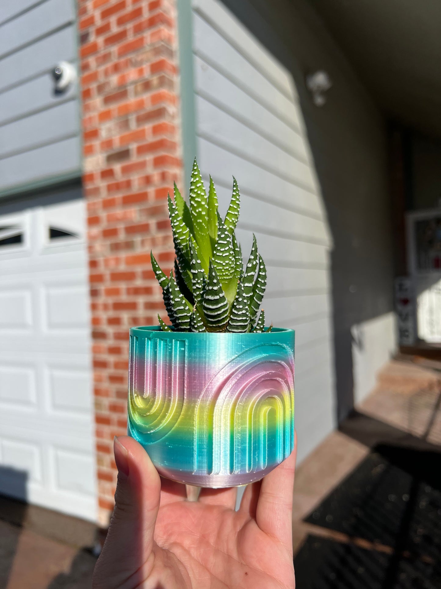 Rainbow planter