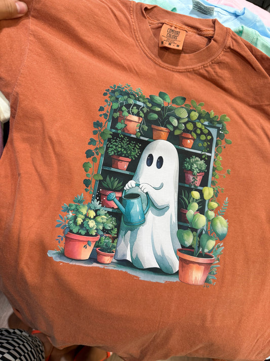 Adult size medium